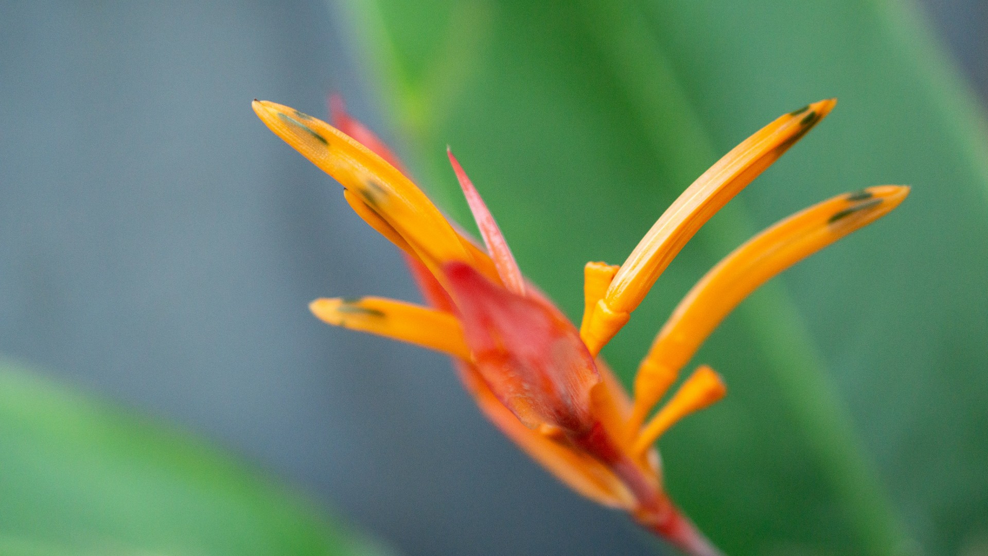 Best Nature Walk Scavenger Hunts for Muslim Kids