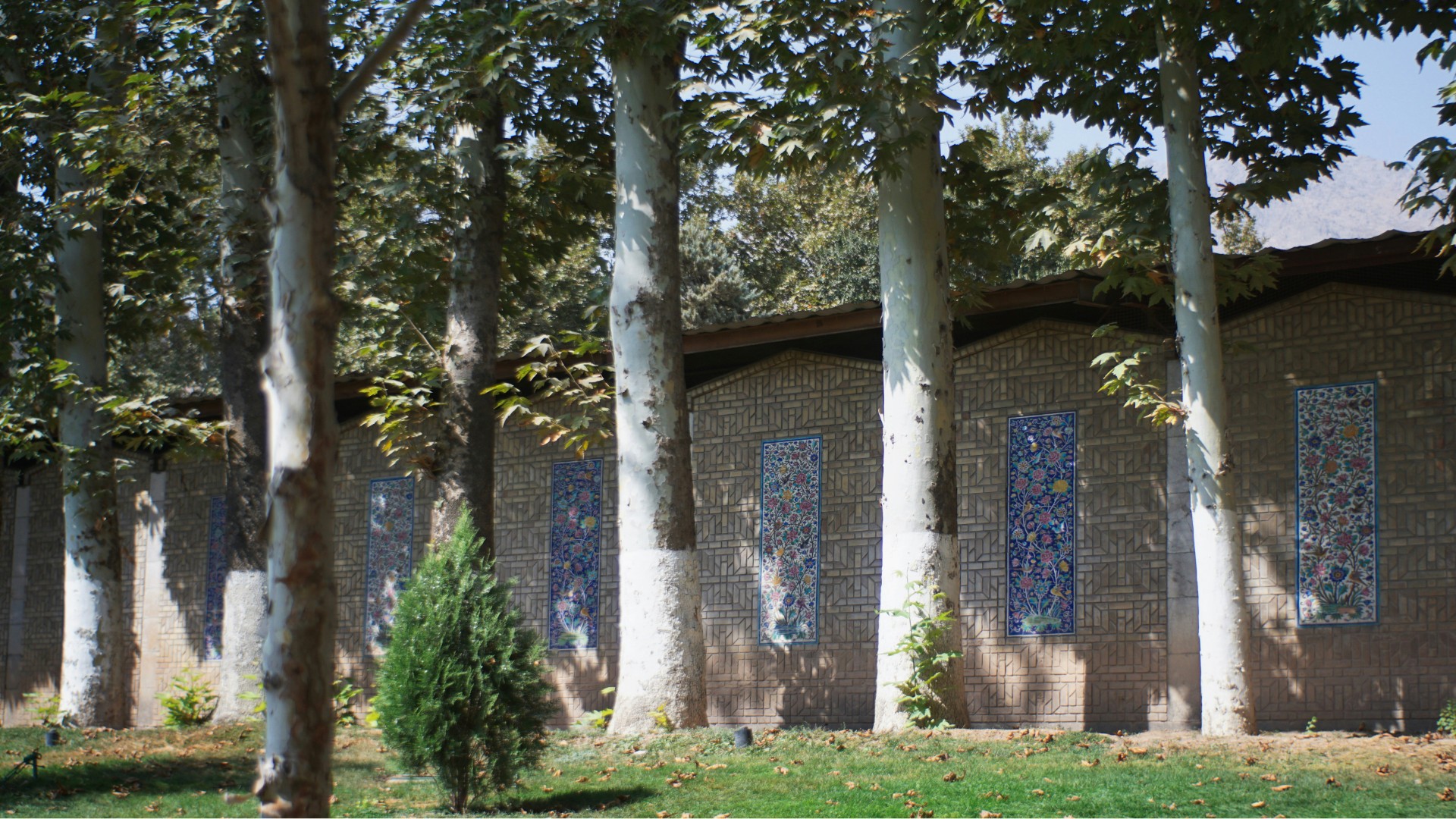 I Hosted a Sisters Game Night Abroad and It Fixed a Loneliness I Would Not Admit