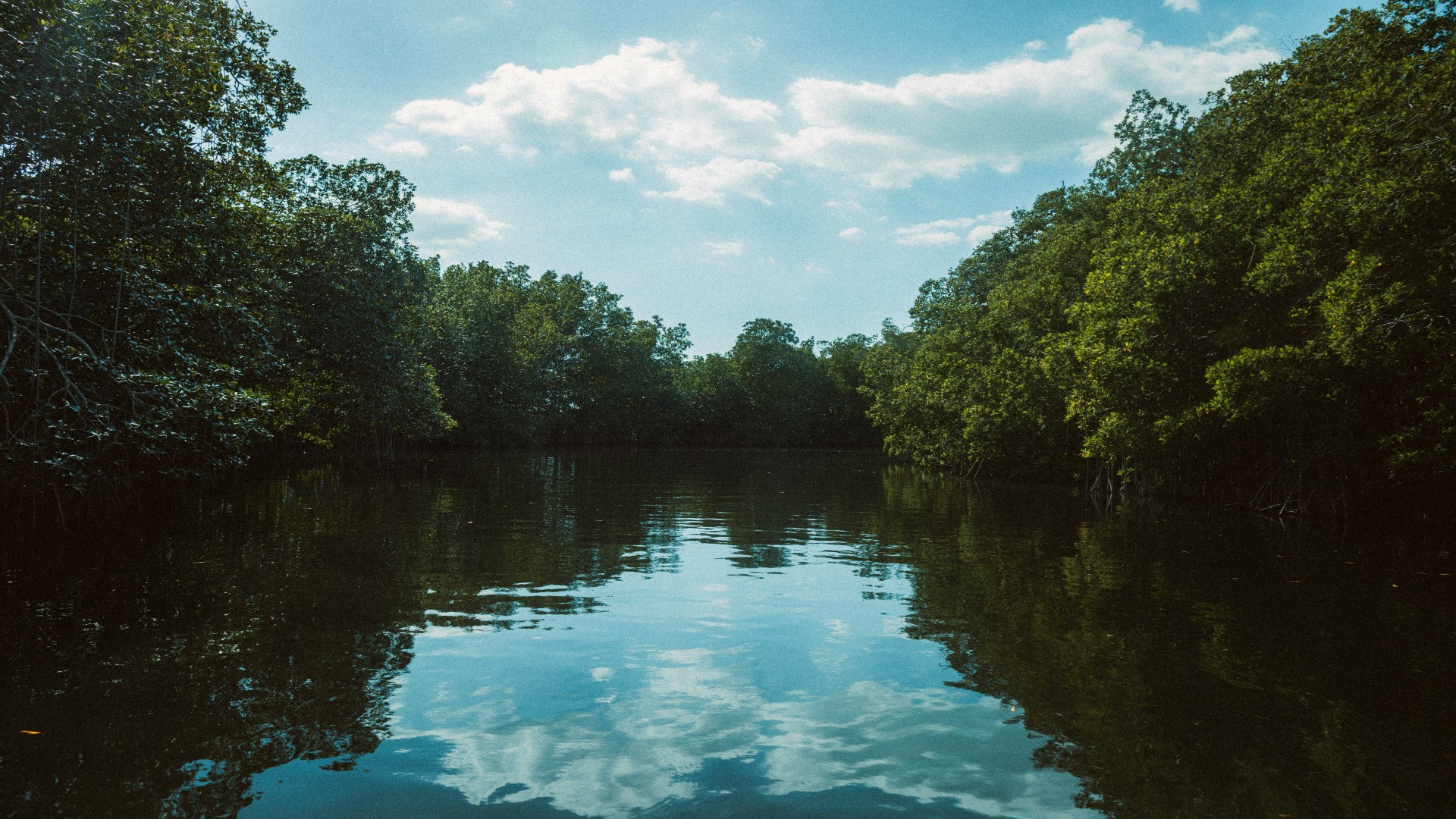 What Parents Should Know About Kids and AI Chatbots