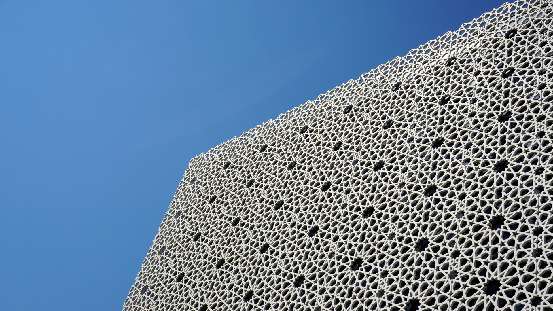 How a Muslim Student Rebuilt Focus After Constant Notifications