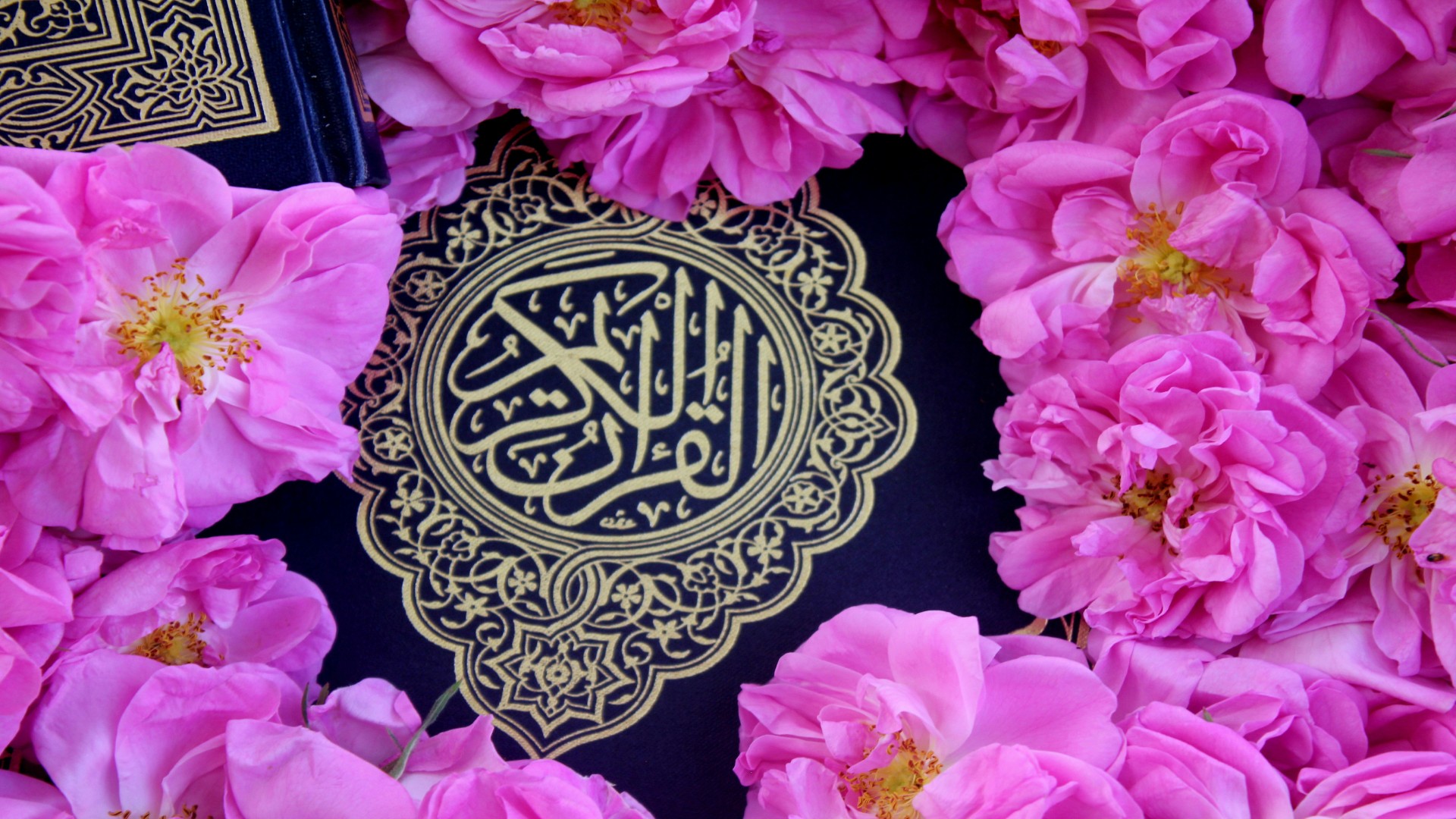 Gut Health Habits Muslims Can Actually Keep Simple