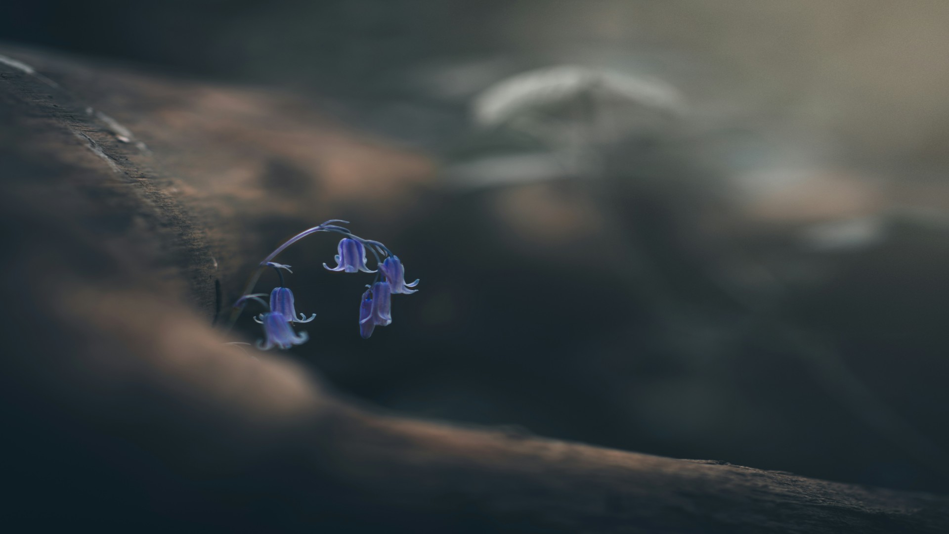 The Poetry Gathering That Reminded Me Muslim Art Still Feels Alive