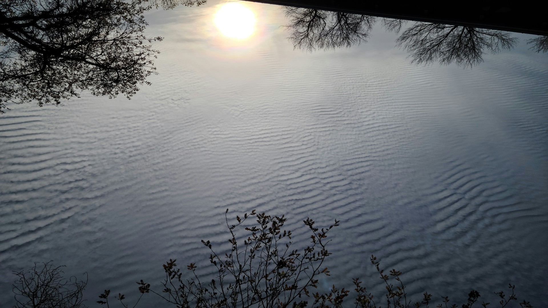 The Tiny Sunnah I Added Back and Immediately Missed Less Prayer