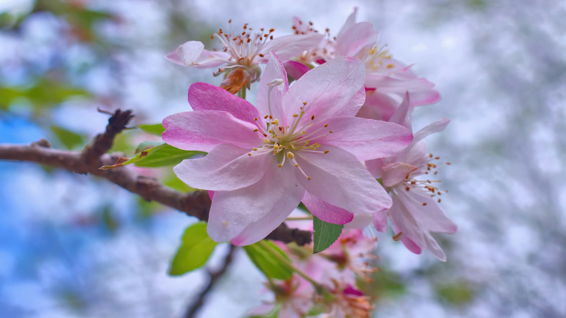 A Small Act of Sadaqah That Opened a Door
