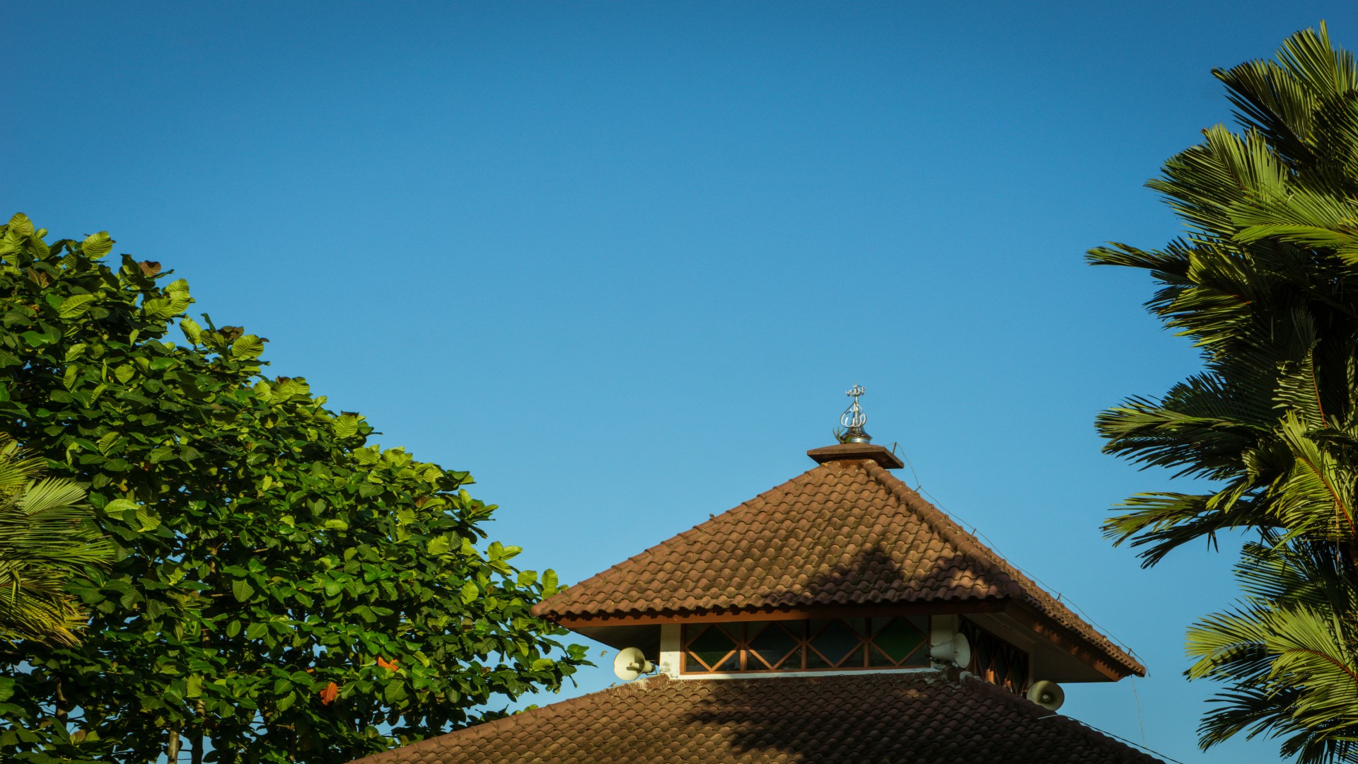 Screen-Free Family Game Night Ideas Muslims Actually Use