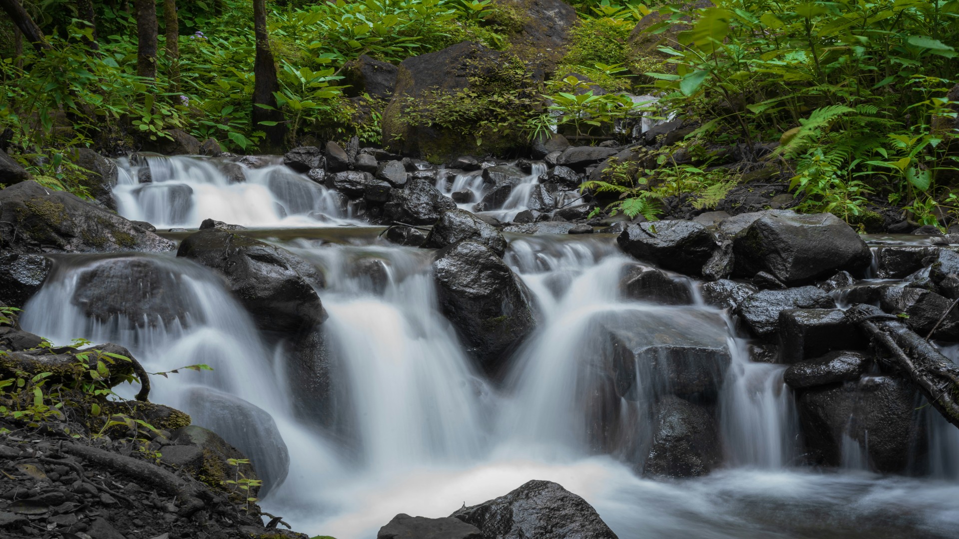 Can AI Quran Study Tools Help Muslims Review Better?